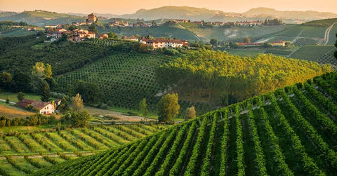 Azienda Bruna Grimaldi