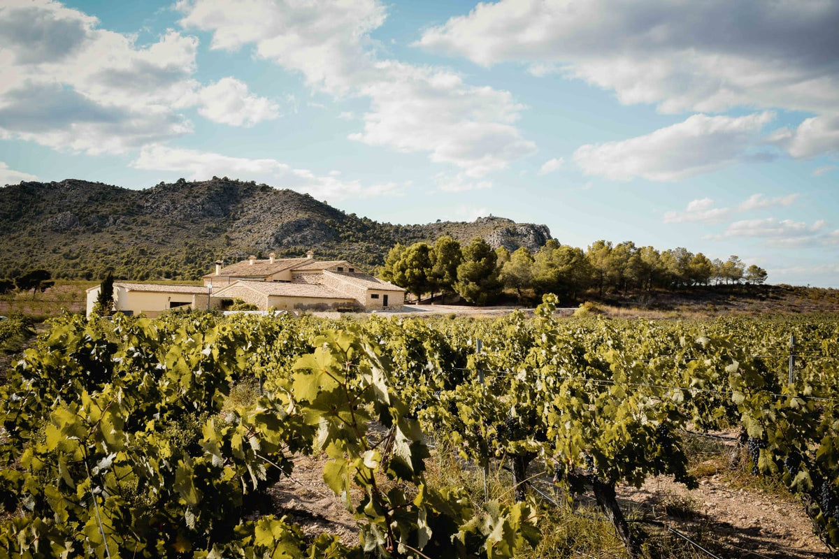 Finca Collado