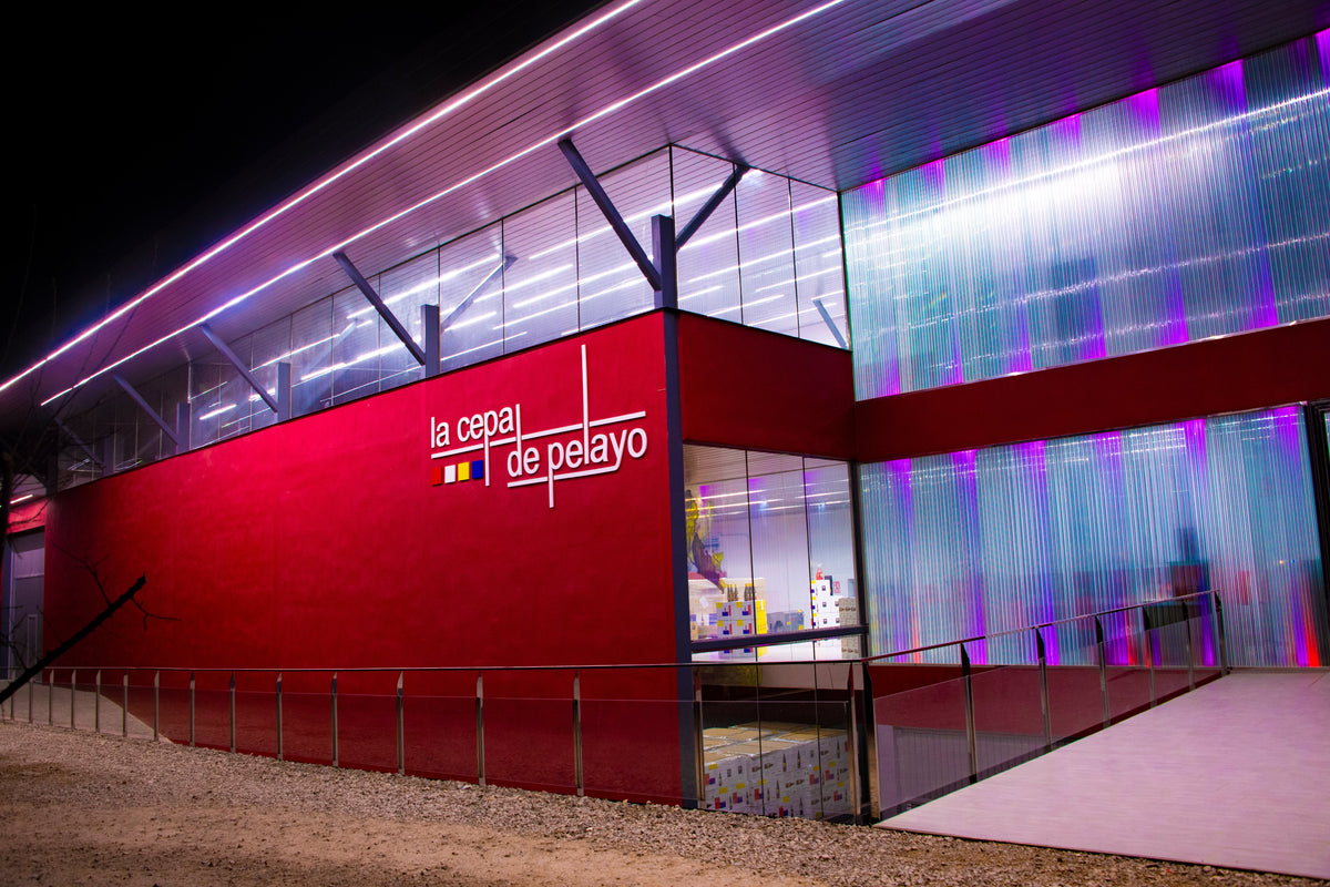 La Cepa de Pelayo