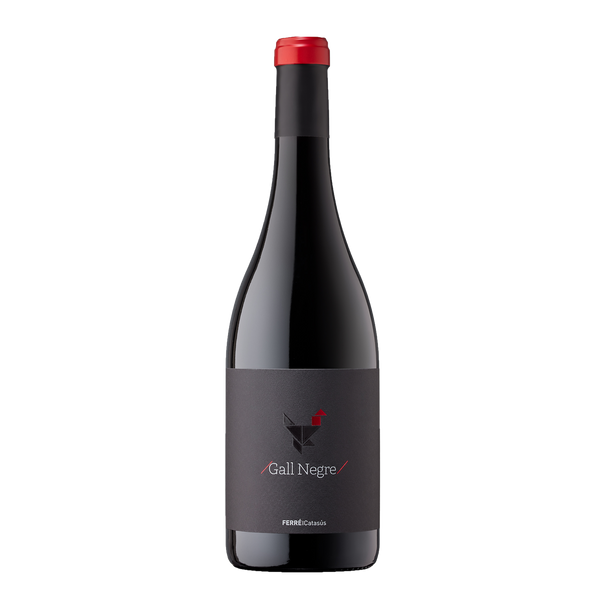 Gall Negre